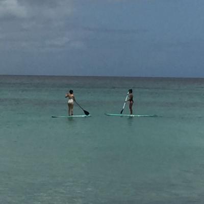 Paynes Bay Beach